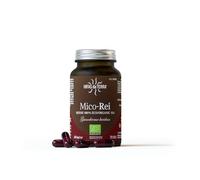 Hifas da Terra Mico Rei Extracto De Reishi 70 Caps