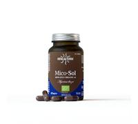 HIFAS DA TERRA Mico-Sol Extracto Puro de Champiñón de Sol, Bote 70 Cápsulas | Con Champiñón del Sol y Vitamina C para apoyar el Sistema Inmunitario, la Acción Antioxidante y el Bienestar General