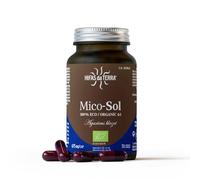Mico Sol Champiñón del Sol HDT Hifas Da Terra 70 cápsulas