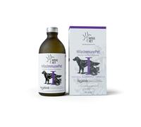 HIFAS Vet - Immune Pet Suplemento para Perros y Gatos, Alimento Complementario para reforzar el Sistema Inmunitario - 250 ml