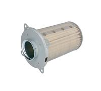 Filtro Aire Hiflofiltro Hfa3909