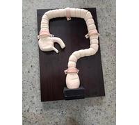 High-Fidelity Colonoscopy Examination Model - Human Intestine Simulator for Sigmoidoscopy Training and Teaching