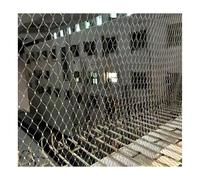 High gth Safe Net Heavy Du Metal Mesh Load Capaci Resistente a la intemperie Protege 10 x 2,5 m (32,8 x 8,2 pies) para todas las condiciones, ideal para protección contra caídas