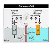 High School Chemistry Poster Galvanic Cell Redox Reactions STEM Educational Wall Art for Science Classroom or Lab Decor 8 X 12 inch