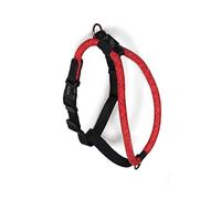 High5Dogs, Arnés Ergonómico Naranja para Actividades al Aire Libre Ajustable de 60 a 76 cm, con Tirantes Acolchados y Seguridad Reforzada, Talla M, Color Naranja, Modelo Leisure Rope