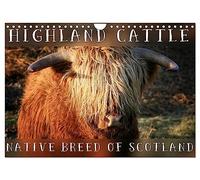 Highland Cattle - Native Breed of Scotland (Wall Calendar 2026 DIN A4 landscape), CALVENDO 12 Month Wall Calendar: Highland Cattle, the scottish cattle breed photographed in its own natural habitat.