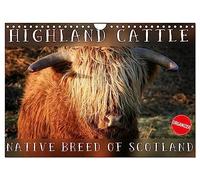 Highland Cattle - Native Breed of Scotland (Wall Calendar 2026 DIN A4 landscape), CALVENDO 12 Month Wall Calendar: Highland Cattle, the scottish cattle breed photographed in its own natural habitat.