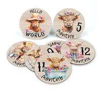 Highland Cow Baby Month Milestone Circle, discos de madera para fotos de bebé tomadas con letreros de nombre del mundo, 7 letreros de doble cara para documentar el crecimiento