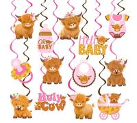 Highland Cow Baby Shower Decoraciones de vaca colgantes remolinos para niñas