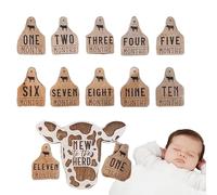 Highland Cow Baby Stuff, juego de letreros de meses de bebé a mes, manta mensual para recién nacidos, hito mensual de bebé de vaca de las tierras altas, 13 tarjetas de hito de bebé de madera
