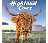 Highland Cows 2027 Calendar | Square Wall Calendar | Farm Animal Gift | Plastic Free Packaging | by Avonside Publishing