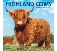 Highland Cows 2027 Mini