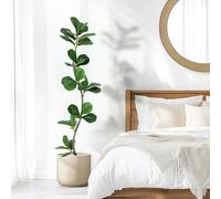 Higuera artificial de hoja de violín, planta falsa de 5 pies con maceta blanca y tronco de madera natural para decoración del hogar u oficina, plantas artificiales de interior