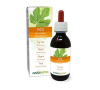 Higuera (Ficus carica) Yemoderivato sin alcohol de yemas frescas - Extracto líquido gotas 120 ml - Complemento alimenticio - Vegano