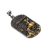 HIJONES 12 Pendentif Collier Constellation para Hombre Acero Inoxidable Signo del Zodiaco Colgante Collar Oro Negro Acuario