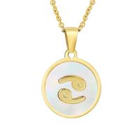 HIJONES Collar Colgante Minimalista Redondo Mujer Constelación Horóscopo Acero Inoxidable Signo Zodiacal Personalizado Colgante Cadena Joyería Blanco Cáncer