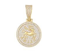 HIJONES Collar Hombre Mujer Acero Inoxidable Dije Zircón Completo Doce Signos Zodiacales Amuleto Astrológico Oro Aries