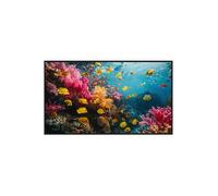 Monitor de Señalización Digital Carácter 43" E-LED 4K 60Hz Negro