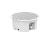 Hikvision DS-QAZ0203G1-S Altavoz secundario de techo 3W
