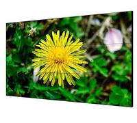 Hikvision Monitor 55" 4K LED para Videowall Perfil Ultrafino 1.8mm 500cd 1000:1 HDMI DVI VGA DP USB VESA 24/7