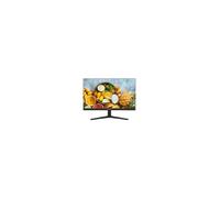 HIKVISION TRANSMISION AND DISPLAY HIK-T&D-18 DS-D5019S0-1P0 LED-Monitor 18,5" Speziell für Sicherheit