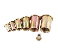 Hilitand 100 / 20Pcs M3-M12 Acero al Carbono Rosca de Remache roscada Tuerca Rivnut Nutsert Sujetador(M5/100pcs)