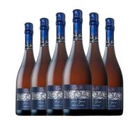 Hill Panot Gaudí Brut Nature Cava 75 cl Espumoso blanco (Caja de 6 Botellas de 75 cl)