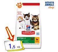 Hills Cat Science Plan Gatitos Pollo Comida Seca Gatos 1,5 Kg