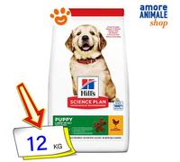 Hills Dog Science Plan Cachorro Raza Grande Pollo Comida Seca Para Perros 12 Kg