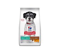HILL'S HSP CANIN ADUL PERFECT WEIGHT MOBILITY SMALL MINI 6KG