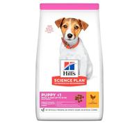 Hill's Puppy