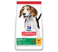 HILLS SCIE HSP Canine Puppy Medium Pollo 18KG