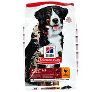 Hills Science Plan Canine Adult Large Breed Pollo 14Kg 14000 g