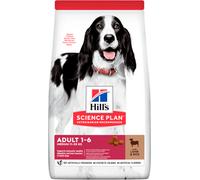 Hills Science Plan Perro Adulto Mediano con Cordero y Arroz | 14 kg