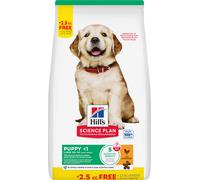 Hills Science Plan Puppy Large Breed alimento seco perro sabor pollo - Saco de 14,5 Kg