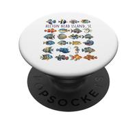 Hilton Head Island SC - Diseño de Peces Coloridos PopSockets PopGrip Adhesivo