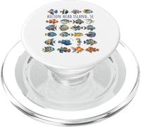 Hilton Head Island SC - Diseño de Peces Coloridos PopSockets PopGrip para MagSafe