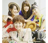 Himawari-Sun Flower Field-