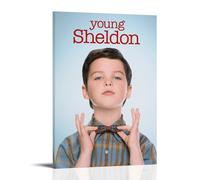 HIMGZXGWQ Young Sheldon Season 1 Póster Pintura Decorativa Lienzo Arte de Pared Salón Póster Dormitorio Pintura, Arte de Pared Impresión de Imagen Moderna Decoración de Habitación Familiar 08 x 12