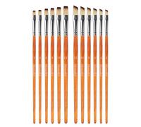 Himmlfel 12 Piezas Pinceles Incluyendo Plana y Angular Tipos de Pincel, para Muchas Necesidades de Pintura, para acrílico, Acuarela, óleo y Gouache Pintura