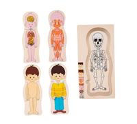 hindraem Rompecabezas del Cuerpo Humano para niños, Rompecabezas de para Madera, Educativo, Aprendizaje cognitivo, Regalo para Celebraciones de cumpleaños, , Chico , 30x15x1.3cm