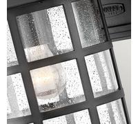 HINKLEY Aplique exterior Freeport L farol negro 1 luz True