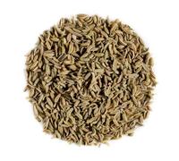 Hinojo Orgánico Semillas Primera Calidad - Calidad Culinaria - Semillas Foeniculum Vulgare - Organic Fennel Seed