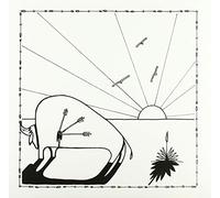 Hinson Micah P. - - Broken Arrows [Vinilo]