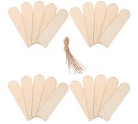 HINTRMENT 30 Unidades Marcadores de Madera sin Terminar 3.2x12 Cm con Bordes Redondeados y Orificio para Cuerda de Yute, Divisores de Discos para Bricolaje, Etiquetas en Blanco para