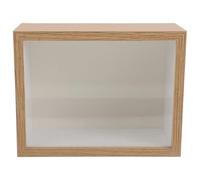 HINTRMENT Marco de Tridimensional Desmontable Panel Acrílico Deslizante con Ranuras Resistente a Impactos Elegante Adecuado para Flores Secas y Conchas para