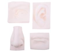 HINTRMENT Modelo Artístico de Escultura de Órgano Facial de Superficie, Material Sintético Creativo para Dibujo y Pintura en Escultura y Pintura