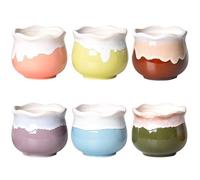 Hintyne 6 macetas para Plantas suculentas Lindas Mini macetas para suculentas Cuenco de cerámica para bonsái de 3,15x3,15x2,56 Pulgadas recipientes de cerámica con Dibujos Animados para vegetación