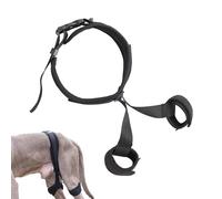 Hip Support for Dogs, Breathable Pet Correction Aid, Lift Brace Belt, Auxiliary Harness for Home, Walking, Travel, and Outgoing Adventures