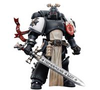 HiPlay JOYTOY 1/18 Warhammer 40,000 Black Templars El Campeón del Emperador Rolantus JT7585 Colección de Figuras de Acción Modelo Regalo